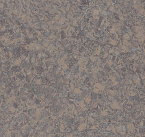 Линолеум Tarkett iq Megalit GRAPHITE SANT 0620 фото 1 | FLOORDEALER